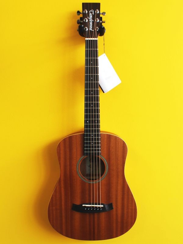 Tanglewood TW2T-LH Winterleaf Lefthanded Travel Guitar